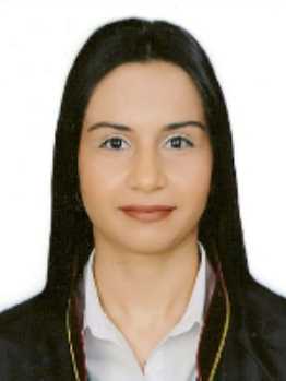 ELİF İDİL  ŞİMŞEK DARICI