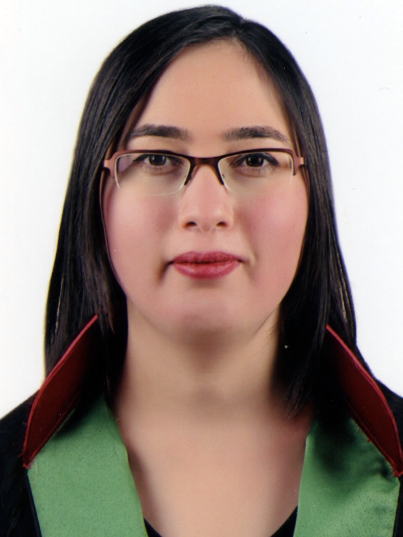 GÜLSÜM  KARAÖMERLİOĞLU