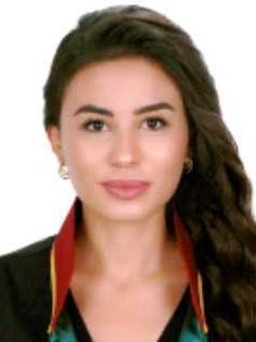 AYŞE NUR ARI