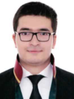 MÜCAHİT METEHAN  SARI