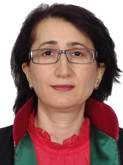 YELİZ  ARI BOZKURT
