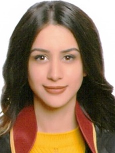 FEYZA  SÖZÜBİR ÇINAR