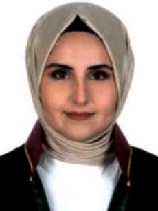 PINAR DAĞ KARAMAN