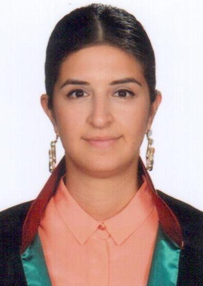 SEVİL ÇİÇEK UÇAR