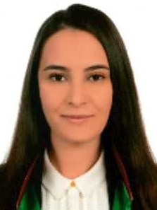 HÜLYA VİLDAN  BARDAKCI