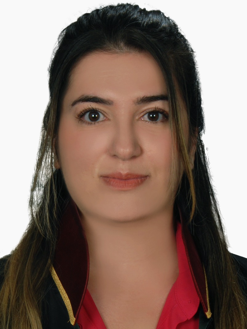 LÜTFİYE BERFİN  GÖKKAN BARAN