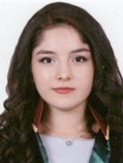 İDİL ARSLANER MEYDAN YEDİKARDEŞLER