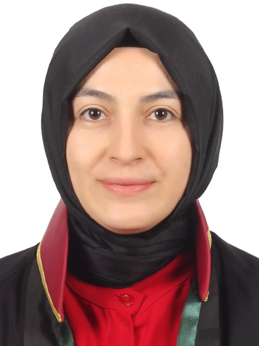 HÜLYA KOCAARSLAN TAŞKIN