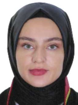 BİLGE MADENİ KARABULAK