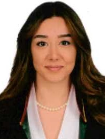 DİLAN NUR  AKBULUTLAR