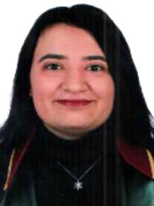 LEYLA NUR SARI