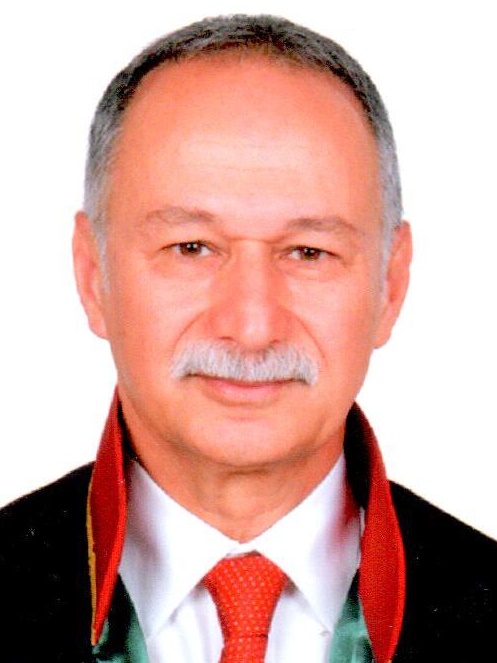 AHMET  SARI