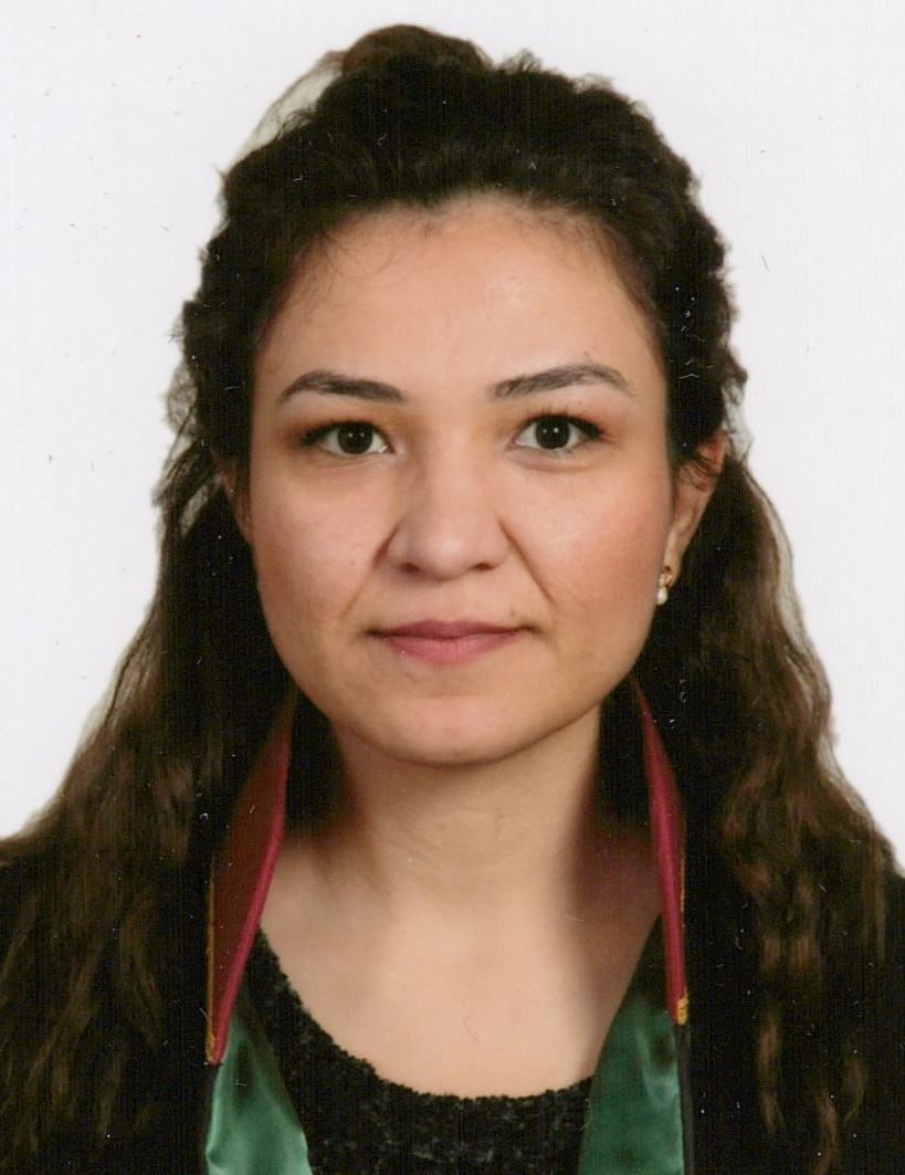 AYŞE  ARAS KÜÇÜKDEVLET