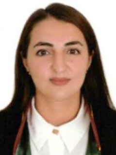ESİN  ÇAPAR AKIL