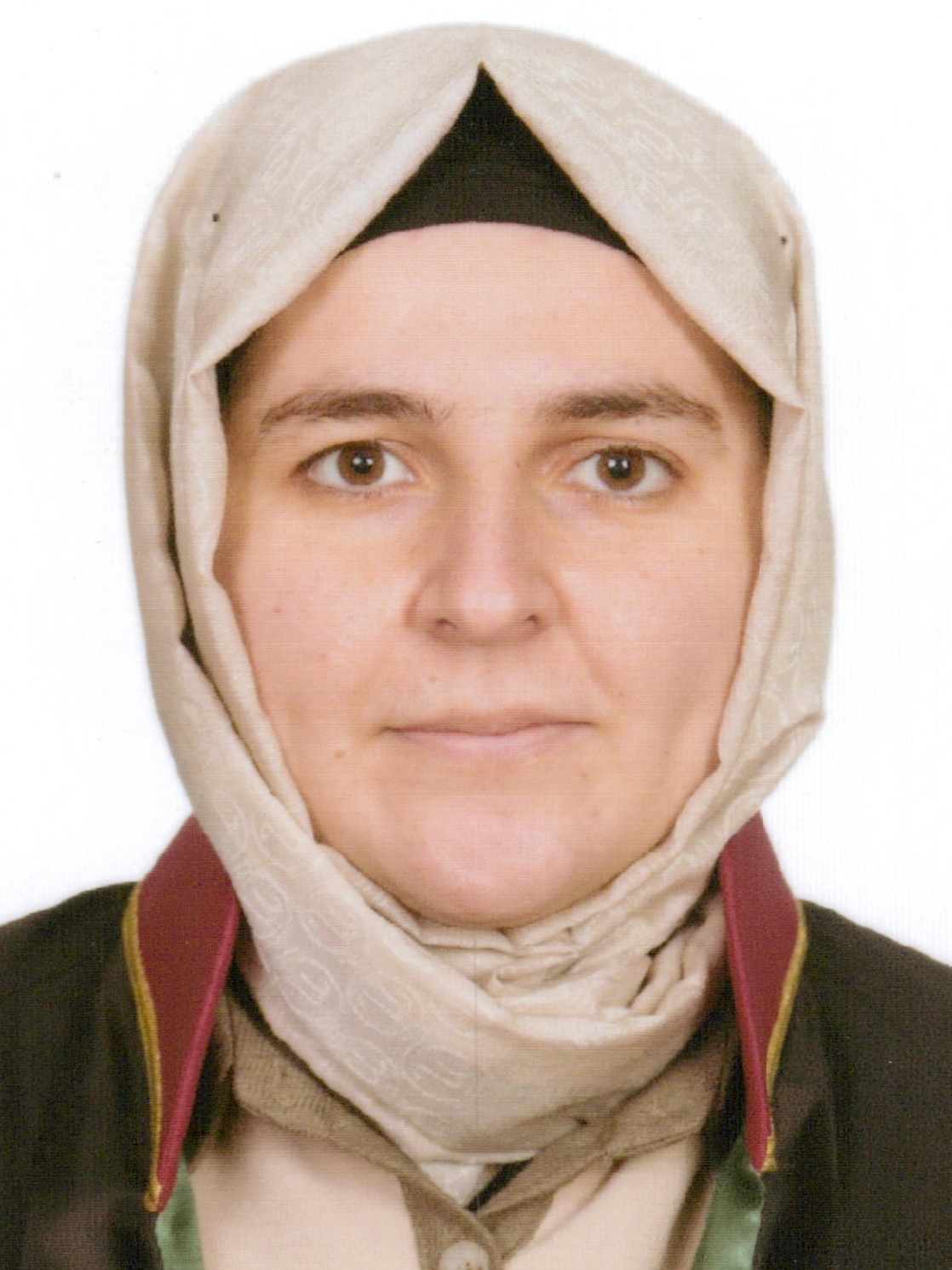 FİDAN  SARIÇİÇEK GÖY