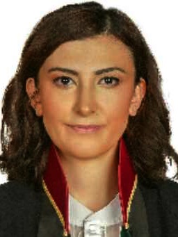 FEVZİYE  KANAT YARDIMCI